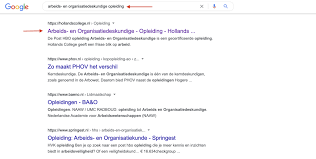 seo opleiding