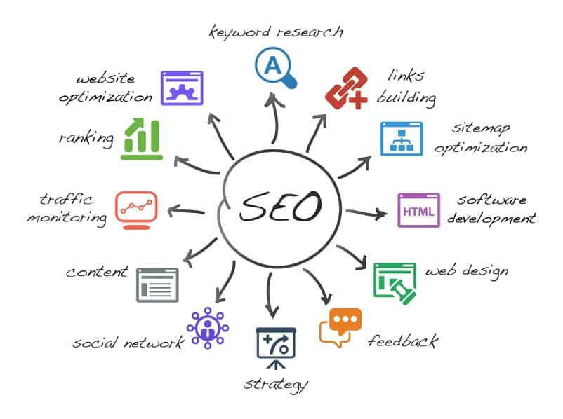 section seo